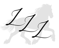 The Leather Lady LLC